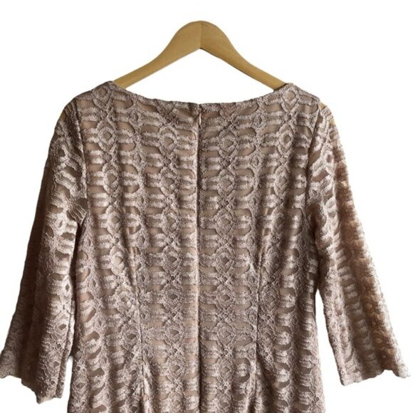 Eliza J Elegant Lace Dress Size 16 Champange - Picture 7 of 12